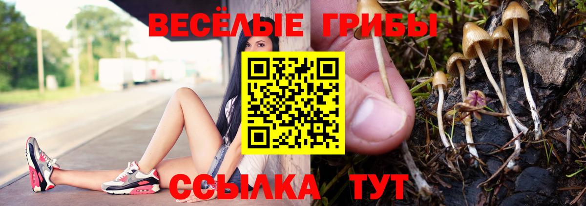 Галлюциногенные грибы мухоморы Ишимбай
