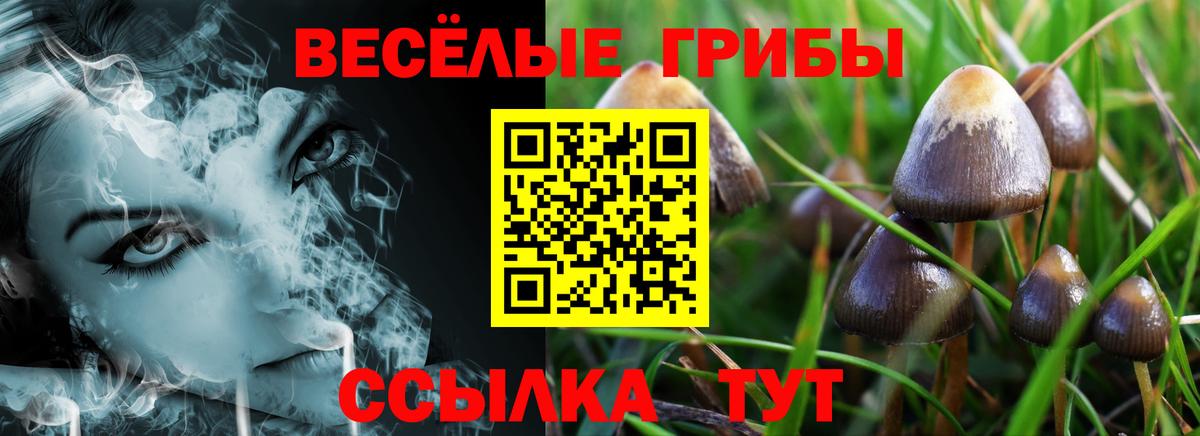 Псилоцибиновые грибы MAGIC MUSHROOMS  Вход с VPN  Ишимбай 